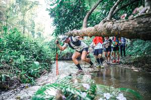 BIB: 
                            <button type="button" onclick="openModal(25452611)" class="btn btn-primary btn-sm float-right btn-popup" data-toggle="modal" data-target=".modal-high-quality">
                        <i class="fas fa-shopping-cart"></i> Add to Cart
                    </button>
                                            <button type="button" onclick="isThisMe(25452611, true)" class="btn btn-success btn-sm float-right btn-popup btn-isme hidden" data-toggle="tooltip" data-placement="bottom" title="นี่คือรูปของคุณใช่ไหม คลิกที่นี่เพื่อเอาเข้าอัลบั้ม">
                        <i class="fas fa-plus"></i> Add to album
                    </button>
                    <button type="button" onclick="isThisMe(25452611, false)" class="btn btn-warning btn-sm float-right btn-popup btn-isnotme hidden">
                        <i class="fas fa-ban"></i> Remove from album
                    </button>